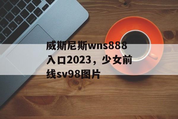 威斯尼斯wns888入口2023，少女前线sv98图片